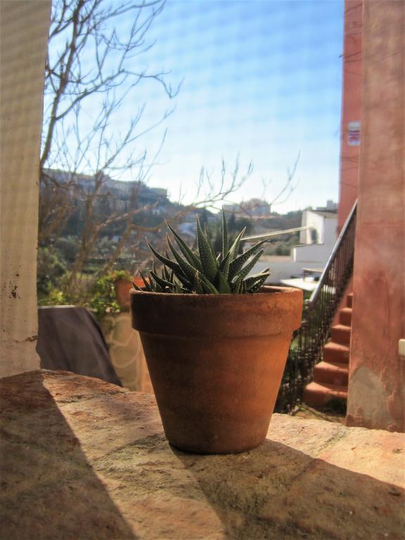 La Casina De Piedra Encanto - Parte Antigua De Касерес Экстерьер фото